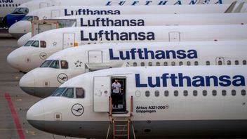 IT-haveri stoppar Lufthansas flyg och spiller över på andra bolag. Foto: Michael Probst/AP/TT