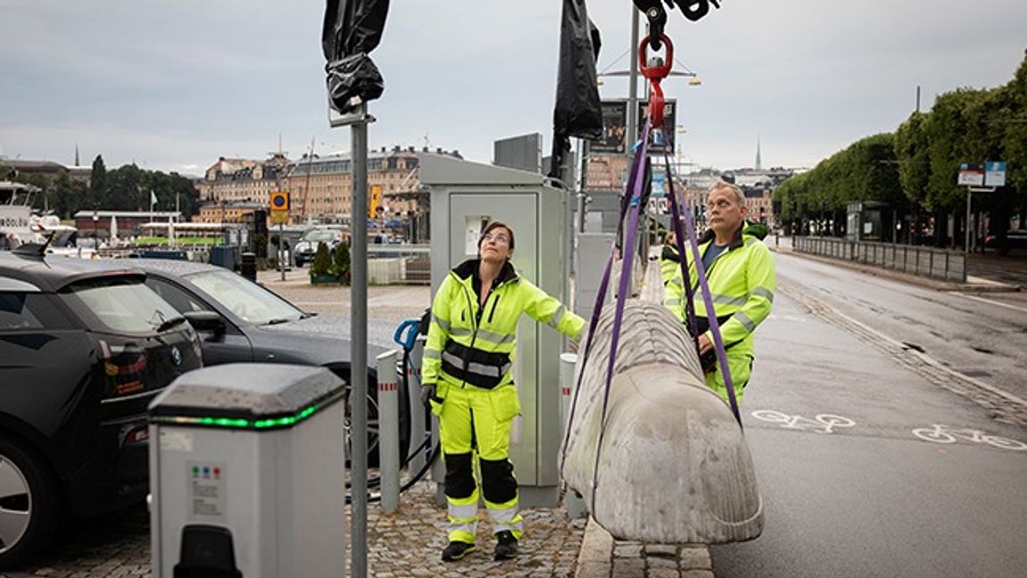 Ana Bielefeldt och Conny Bielefeldt placerar ut betonglejon för att stänga av parkeringen vid kajen intill Strandvägen i Stockholm.
Foto: Lisa Arfwidsson/SvD/TT