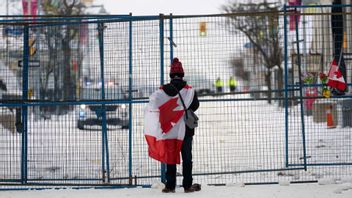 En person utanför parlamentet i Ottawa i Kanada. Foto: Adrian Wyld/AP/TT