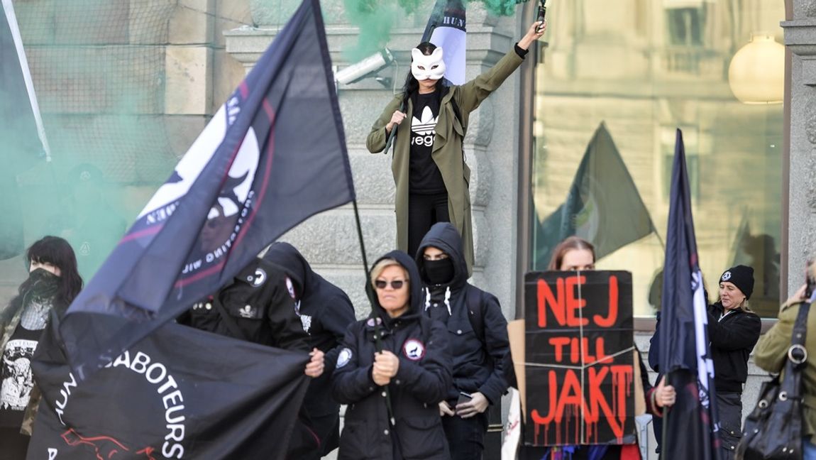 Det borde vara riksdagen som myndigheterna lyssnar på. Foto: Jessica Gow/TT