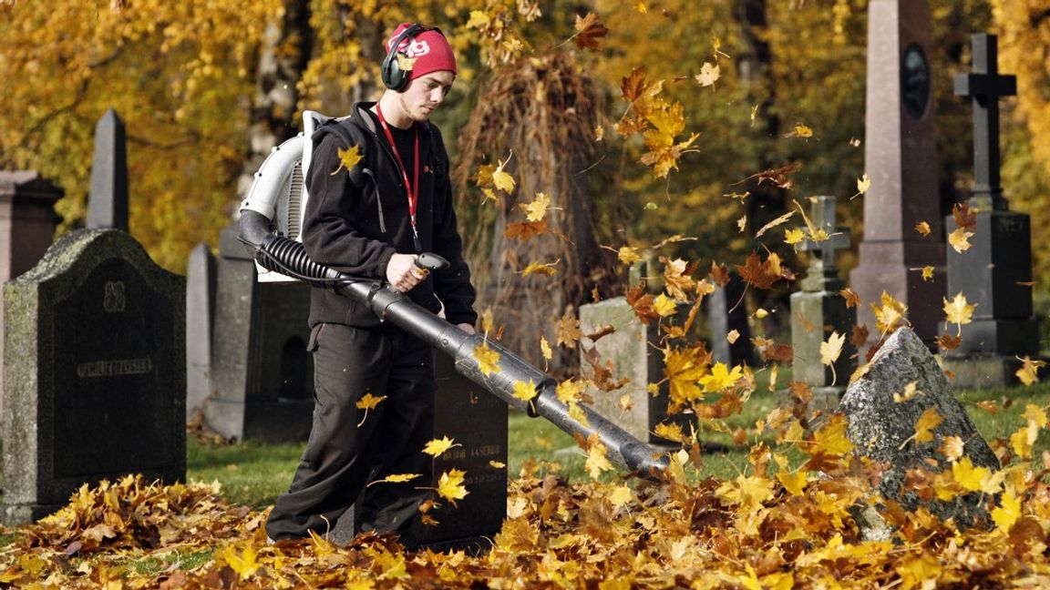 De som skall rensa kyrkogårdar, parker, innergårdar och annat från löv är nog mer tacksamma för lövblåsen än förbannar den. Foto: Erlend Aas/TT 