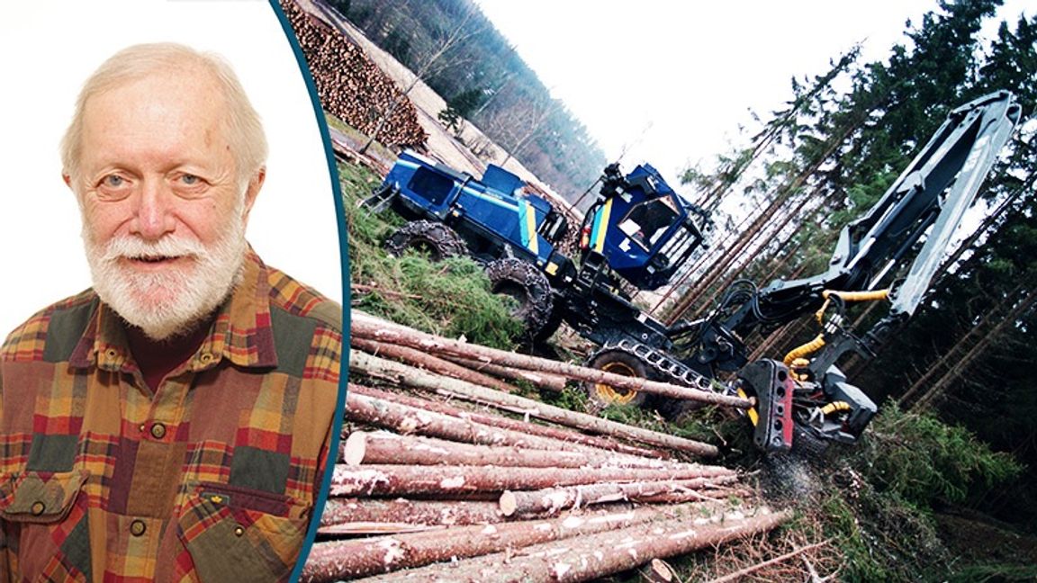 Den svenska skogsnäringen hotas av EU:s klåfingrighet. Foto: Fredrik Persson/Scanpix/TT