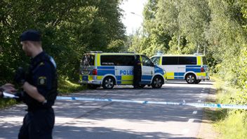 Personbilsolycka med kor på Öland. Foto: Magnus Andersson/TT