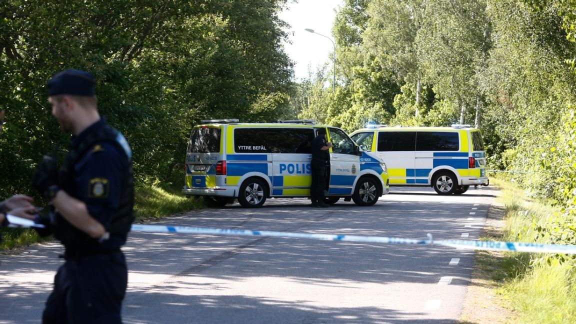 Personbilsolycka med kor på Öland. Foto: Magnus Andersson/TT