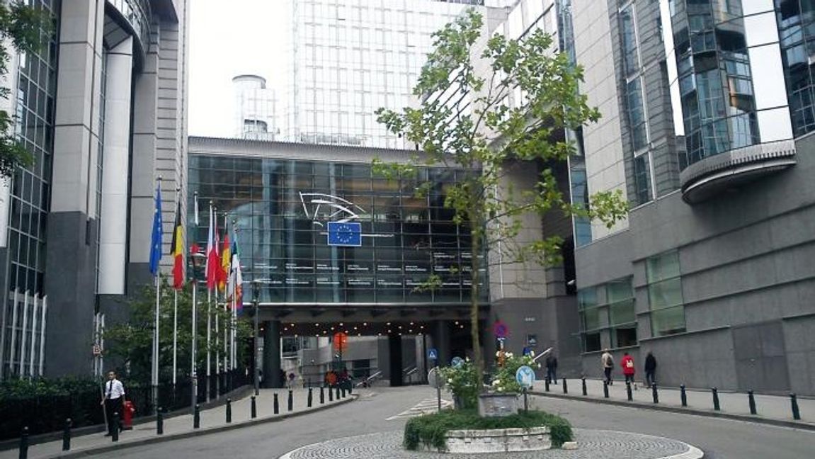 Trädet som sägs vara Wallströms viktigaste avtryck. Foto: Bryssel stad. 