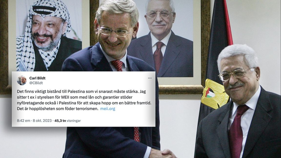 Carl Bildt under sin tid som utrikesminister, i möte med den palestinske presidenten Mahmoud Abbas. Bild från 2007. Foto: Muhammed Muheisen/AP