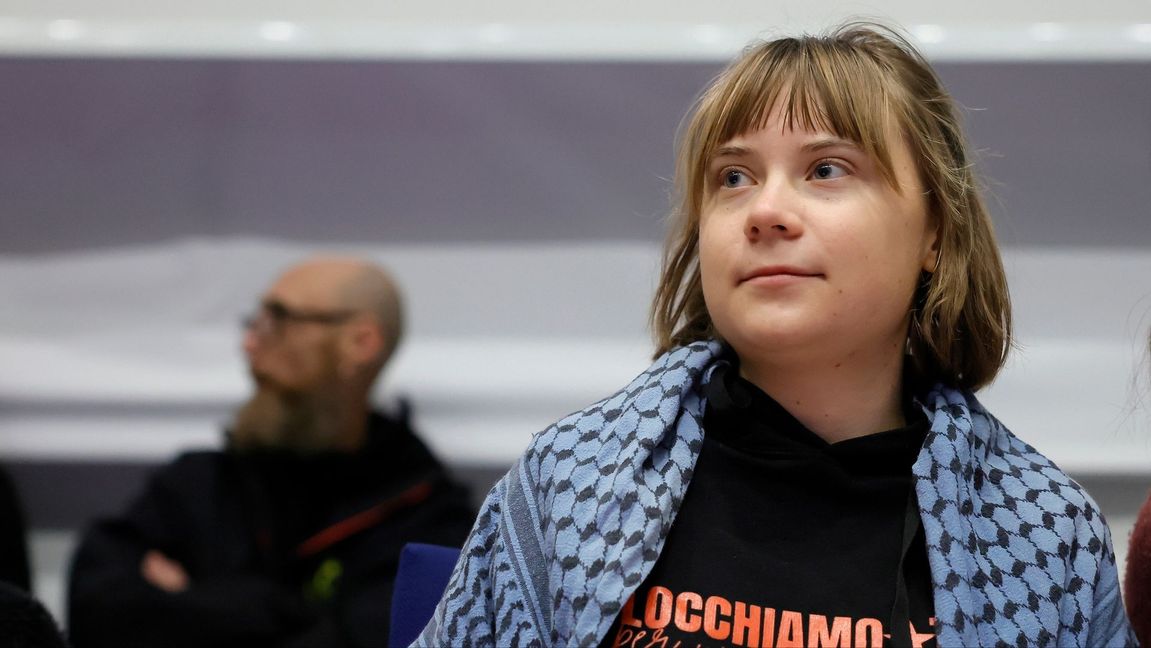 Greta Thunberg uppmanade till sabotage. Foto: Cecilia Fabiano/AP/TT