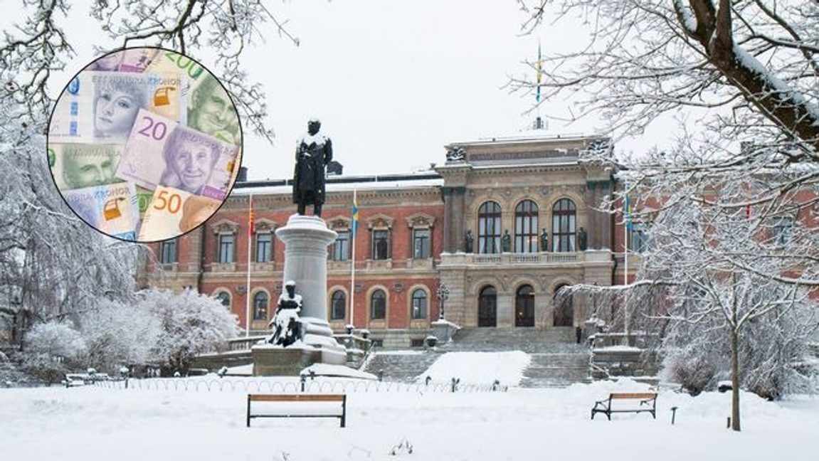 Foto: David Naylor / Sverigedemokraterna