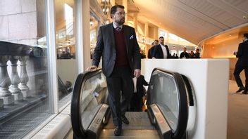 Jimmie Åkesson (SD) är kritisk till regeringens besked om att återuppta biståndet till UNRWA. Foto: Jessica Gow/TT