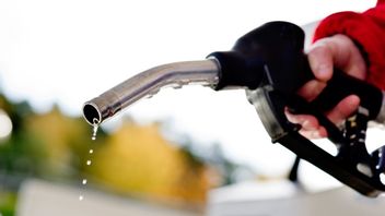 Rekorddyra droppar – igen. Arkivbild. Foto: Pontus Lundahl/TT