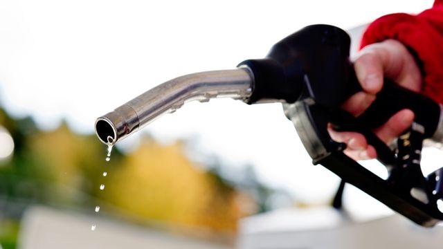 Rekorddyra droppar – igen. Arkivbild. Foto: Pontus Lundahl/TT