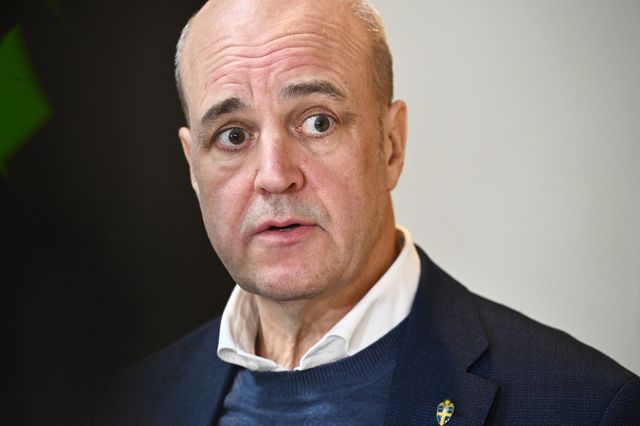 Fredrik Reinfeldt, ordförande i Svenska fotbollförbundet. Arkivbild. Foto: Claudio Bresciani/TT