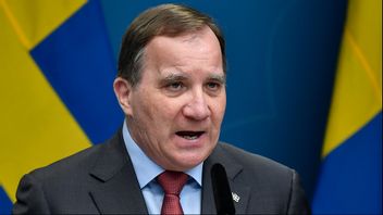 Jakob Heidbrink är kritisk till hur statsminister Stefan Löfven (S) förhåller sig till grundlagen. Foto: Anders Wiklund/TT