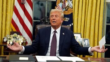 Donald Trump utlovar tullar. Foto: Evan Vucci/AP