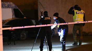 Arkivbild. Foto: Johan Nilsson/TT