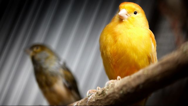 Genrebild. Foto: Fredrik Persson/TT