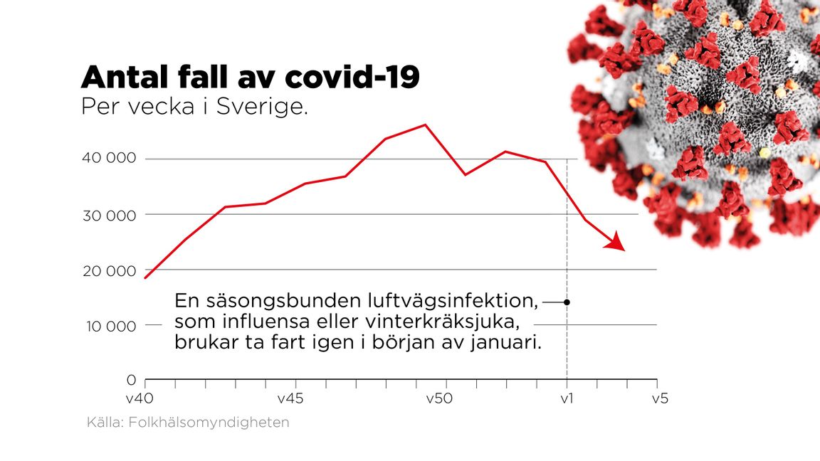 Vecka 40 2020 till vecka 3 2021. Foto: Johan Hallnäs/TT