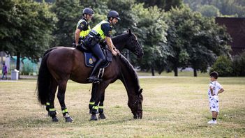 Både den bortsprungna hästen och polisen är i gott skick. Foto: Roger Turesson/TT 
