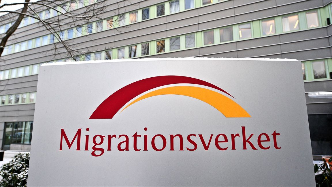 Migrationsverket ska peka ut vilka bristyrken som får stanna. Foto: Anders Wiklund/TT