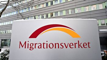 Migrationsverket ska peka ut vilka bristyrken som får stanna. Foto: Anders Wiklund/TT
