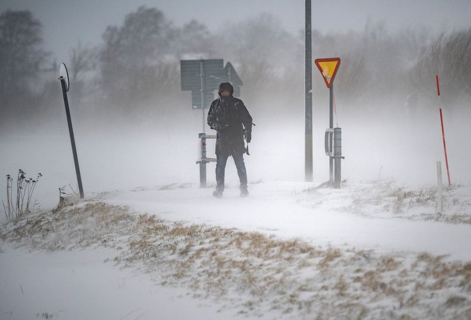 Hårt väder i norra Sverige orsakar många strömavbrott. Arkivbild. Johan Nilsson/TT