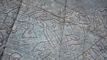 Sigurd suger på sin blodiga tumme. Från Sigurdsristningen på Ramsundsberget Foto: Dan Korn