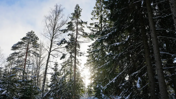 Genrebild. Foto: Björn Larsson Rosvall/TT