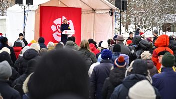 Andersson vill väldigt gärna ge en bild av sig själv som en stark ledare. Men mer och mer visar på att hon inte har kontroll över partiet eller oppositionen. Foto: Magnus Lejhall/TT