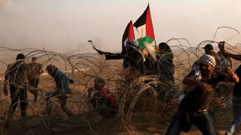 Palestinska demonstranter i Gazaremsan. Foto: Adel Hana/AP/TT 