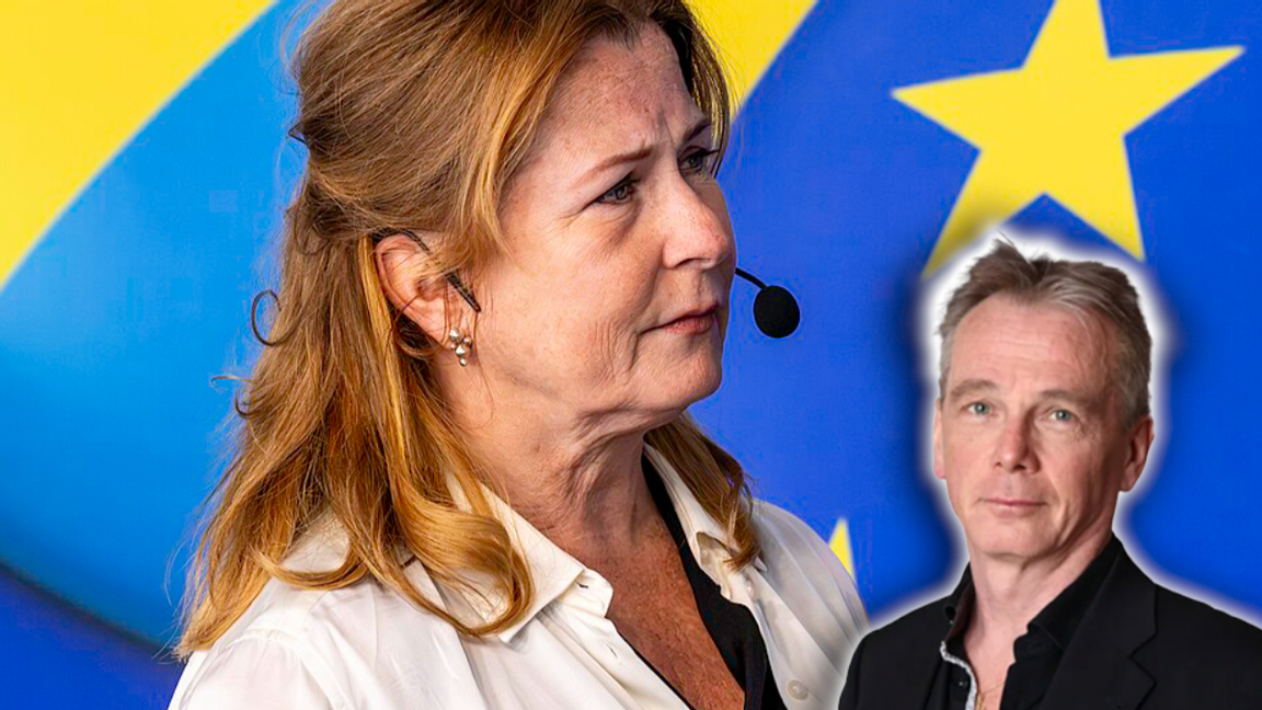 Anna Hedenmo, tidigare programledare i SVT, uppger att nyheter vinklades till Sverigedemokraternas nackdel. Jan Sjunnesson menar att medierna därmed missade sitt egentliga uppdrag. Foto: Privat/Bene Riobó, CC BY-SA 4.0, via Wikimedia Commons
