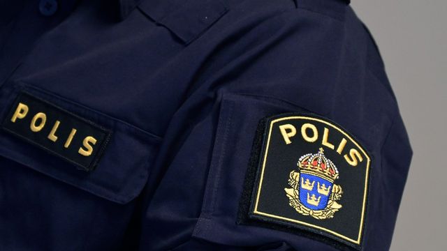 Foto: Janerik Henriksson / TT