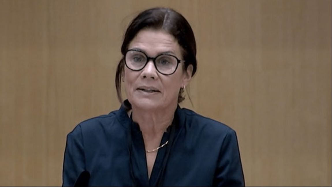 Foto: Skärmdump/Sveriges Riksdag.