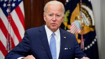 Den amerikanske presidenten Joe Biden.  Foto: Pablo Martinez Monsivais/AP/TT