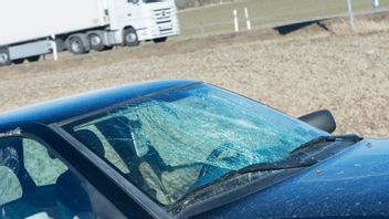 En vandaliserad bil med sönderslagna rutor står övergiven vid en vägkant vid väg 55. Foto: Fredrik Sandberg / TT