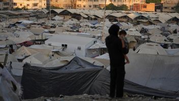 Gaza 2025 eller Sverige 2026? Foto: Jehad Alshrafi / TT