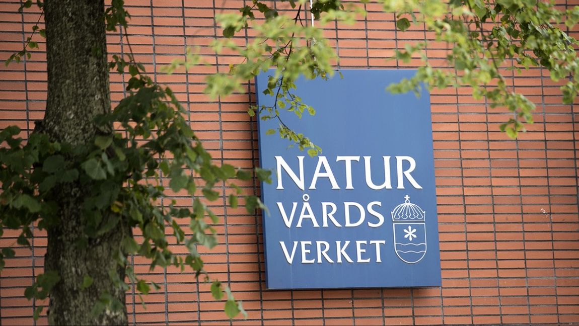 Naturvårdsverket har utsatts för ett datorintrång och väldigt lite information är släppt. Foto: Maja Suslin/TT