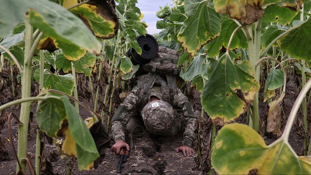 En ukrainsk rekryt vilar under en militär utbildning en varm sommardag på ett solrosfält i Zaporizjzjaregionen i södra Ukraina måndagen den 11 augusti 2025. Foto: Andriy Andriyenko/Ukrainas 65:e mekaniserade brigad via AP. 