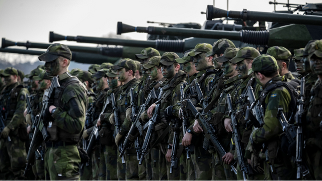 I försvarsmakten är det faktiskt bra att vara grön. Foto: Johan Nilsson/TT