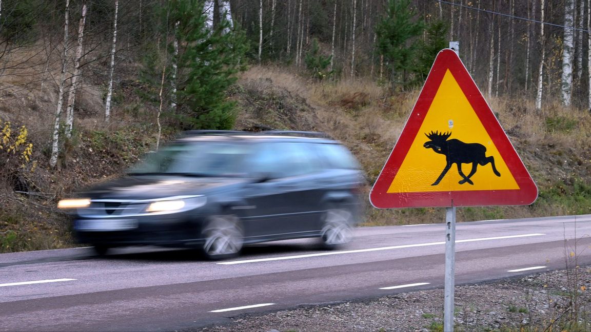 Foto: Janerik Henriksson/TT