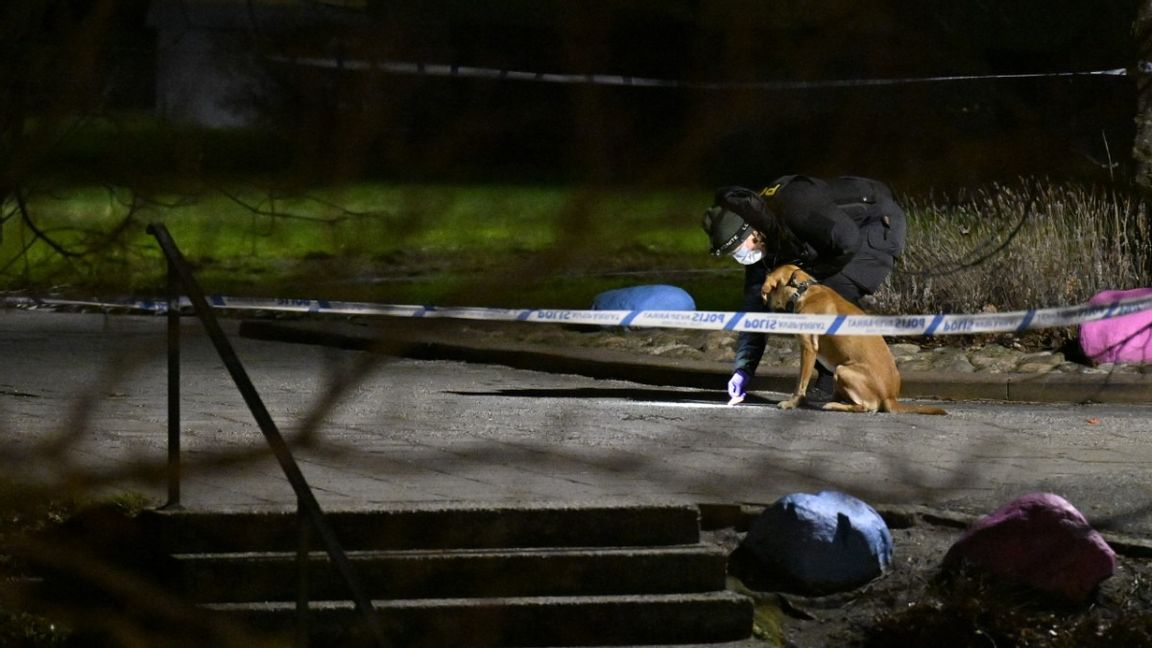 Polisen på plats med specialsökhund och kriminaltekniker på Sörbäcksgatan i Malmö natten till tisdagen efter en misstänkt skottlossning. Foto: Johan Nilsson / TT 