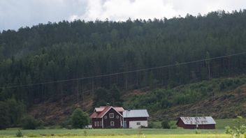En gammal lantbruksfastighet på landet i Hälsingland omgivet av skog och odlingsmark. Foto: Fredrik Sandberg / TT