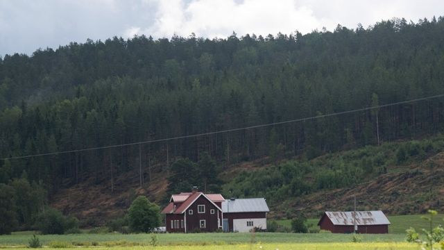 En gammal lantbruksfastighet på landet i Hälsingland omgivet av skog och odlingsmark. Foto: Fredrik Sandberg / TT
