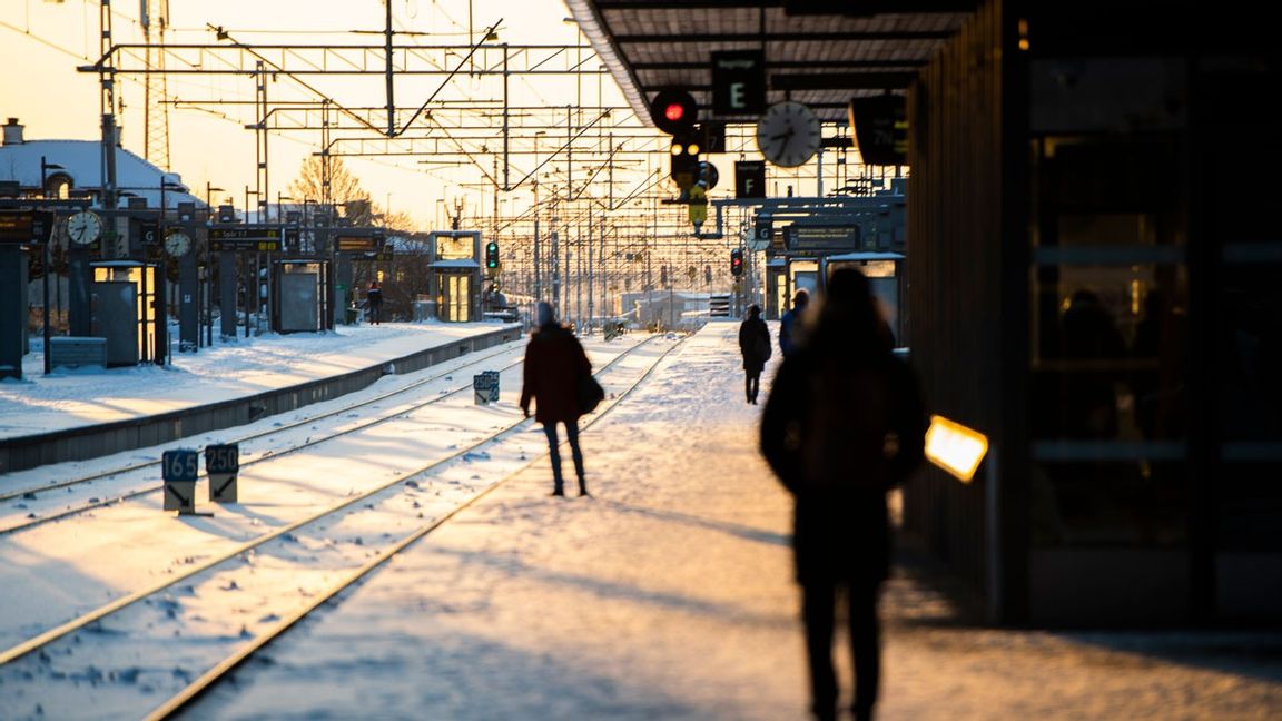 Arkivbild. Foto: Carl-Olof Zimmerman/TT