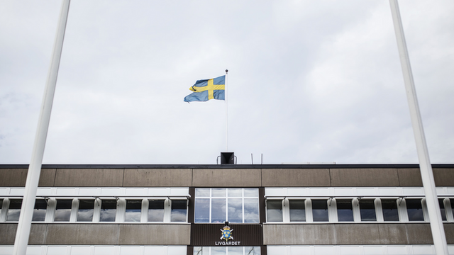 Foto: Adam Wrafter/SvD/TT