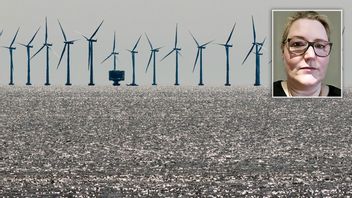 Sveriges största vindkraftspark planeras att byggas utanför Sandhamn. Foto: Johan Nilsson//TT