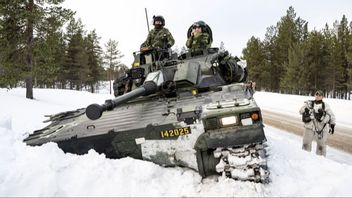 Endast 20 procent av finländarna anser att Sverige har ett starkt försvar – trots omfattande upprustning. Foto: Anders Wiklund/TT.