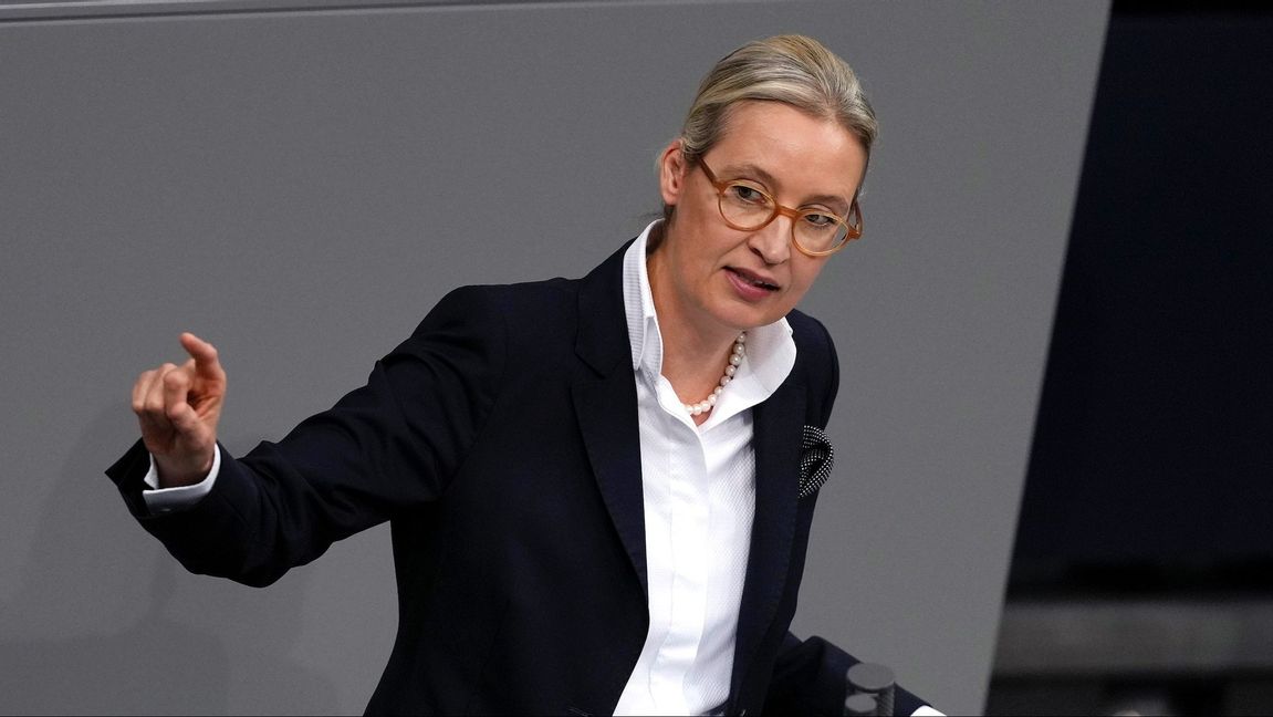 Alice Weidel, ledare för AfD Foto: Markus Schreiber/AP/TT