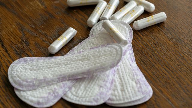 Spanien kan bli först med att ge mensturerande personer rätt till ledighet vid menstruationssmärtor. Foto: Martina Holmberg / TT