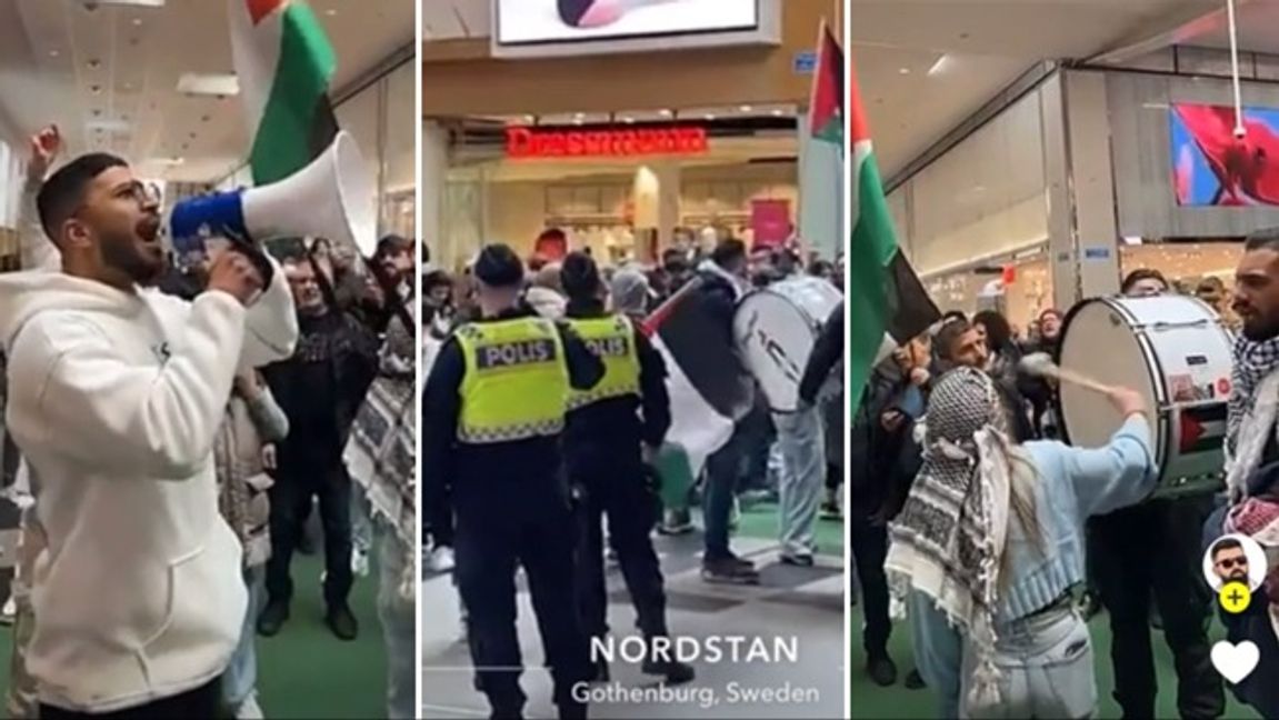 Demonstranter gick in i Nordstan på söndagen.