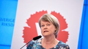 Vänsterpartiets ekonomisk-politiska talesperson Ulla Andersson. Foto: Pontus Lundahl/TT